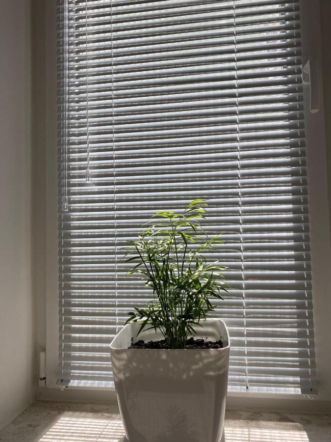 Apartament Bejler
